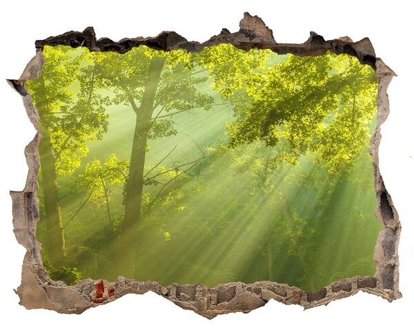 Nálepka fototapeta 3D výhled Forest na slnku nd-k-88868942