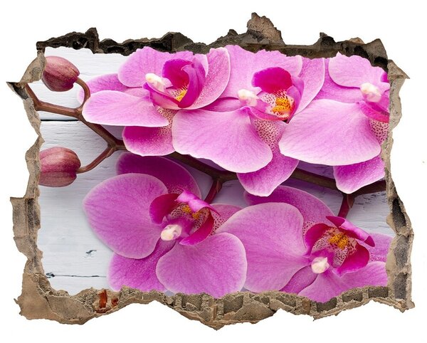 Samolepící nálepka Orchidea na dreve nd-k-118409675