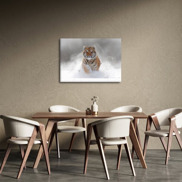 Obraz bežiaceho tigra v snehu (70x50 cm)