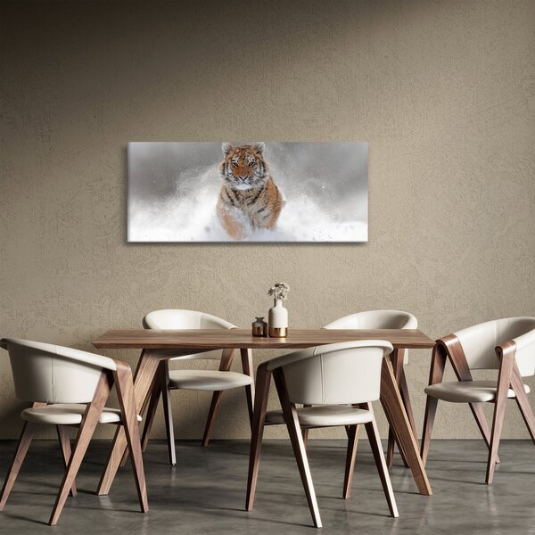 Obraz bežiaceho tigra v snehu (120x50 cm)