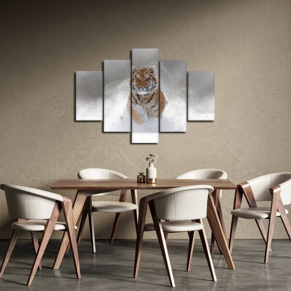 Obraz bežiaceho tigra v snehu (150x105 cm)