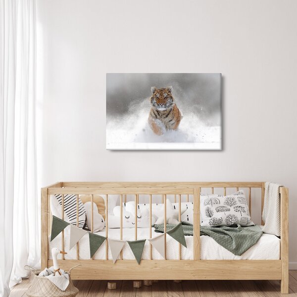 Obraz bežiaceho tigra v snehu (90x60 cm)
