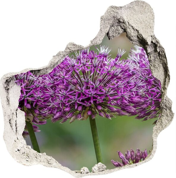 Nálepka 3D diera betón Cesnak kvet nd-p-99551256