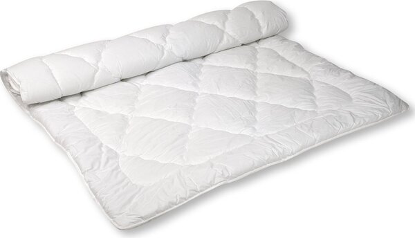 2G Lipov Vyváracia prikrývka Clivie+ 95°C celoročná - 135x200 cm