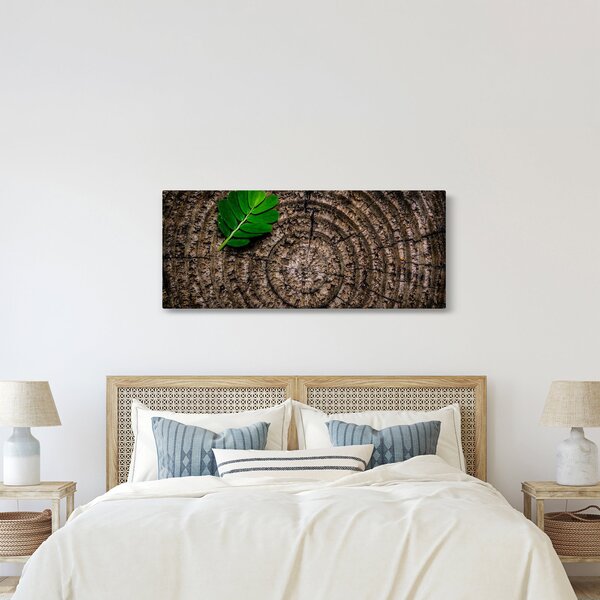 Obraz listu na kmeni stromu (120x50 cm)