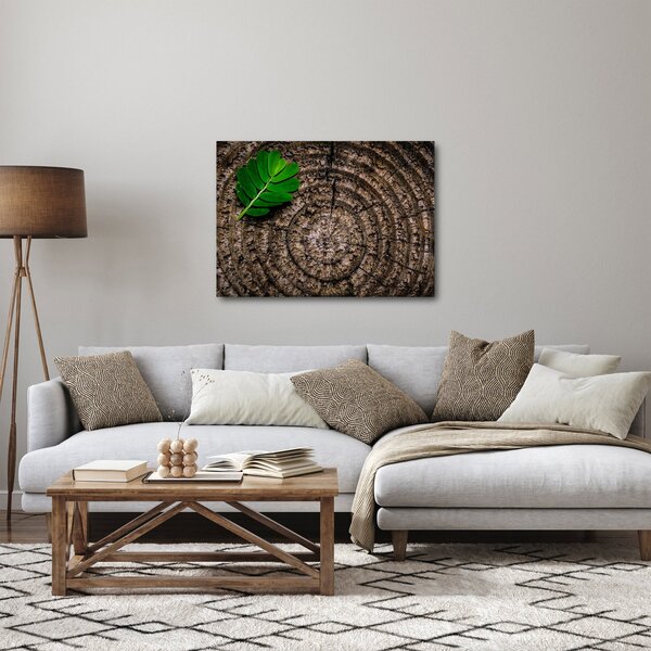 Obraz listu na kmeni stromu (70x50 cm)