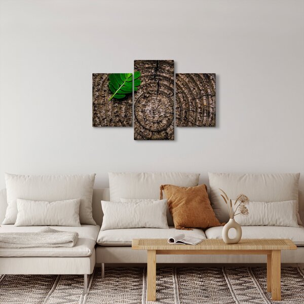 Obraz listu na kmeni stromu (90x60 cm)