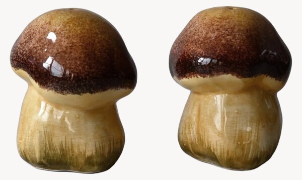 Ručne maľovaná soľnička a korenička Mushroom, 2 ks