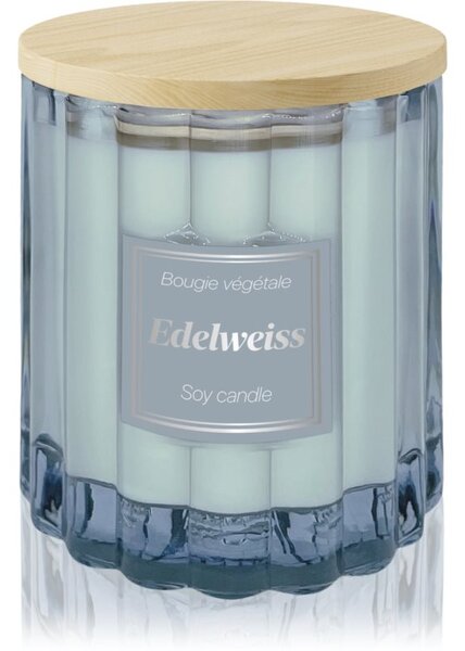 Esprit Provence Edelweiss vonná sviečka s viečkom 100 g