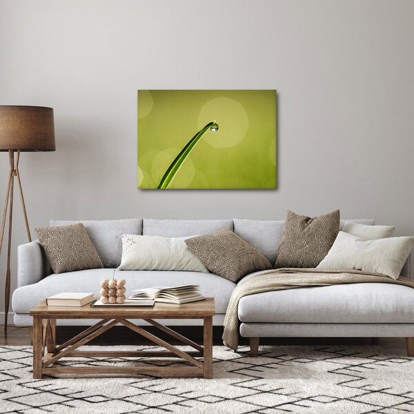Obraz kvapky vody na tráve (70x50 cm)