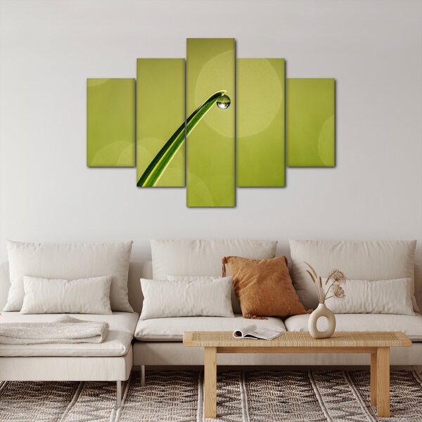 Obraz kvapky vody na tráve (150x105 cm)