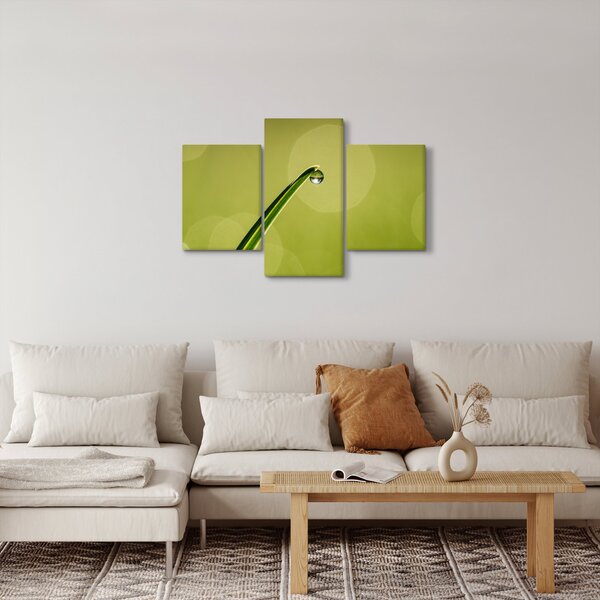 Obraz kvapky vody na tráve (90x60 cm)