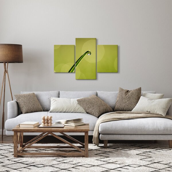 Obraz kvapky vody na tráve (90x60 cm)