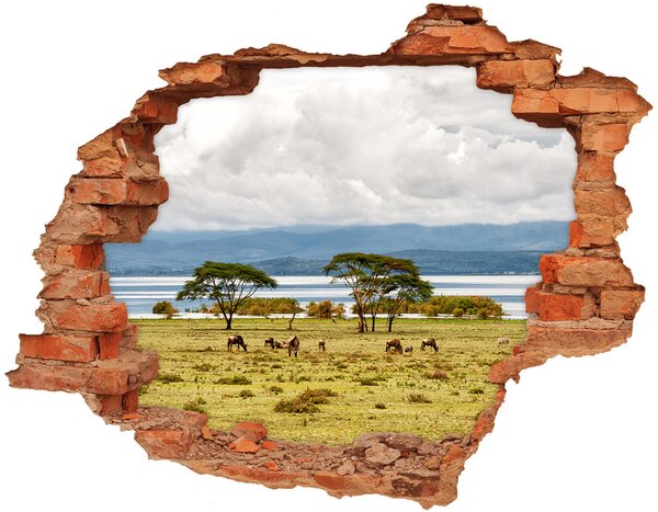 Fotoobraz diera na stenu Naivasha nd-c-60219348