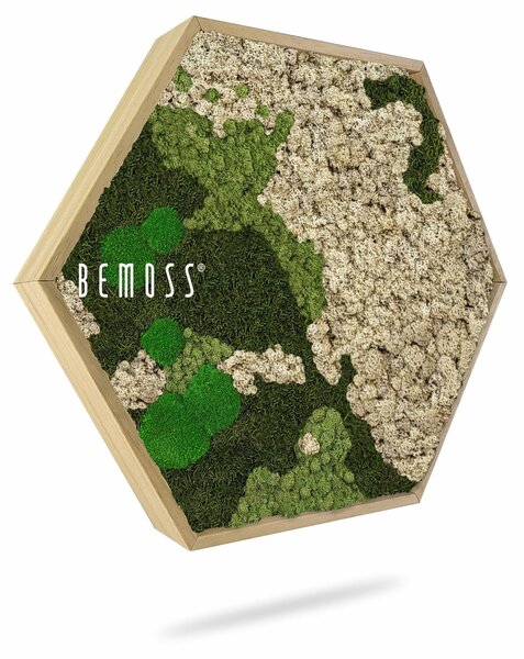 Machový Hexagon BEMOSS® ORTHO NATURAL - Priemer 30 cm (v najširšom mieste šesťuholníka)