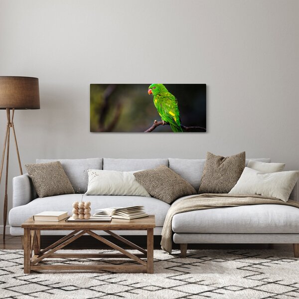 Obraz papagája na vetve (120x50 cm)