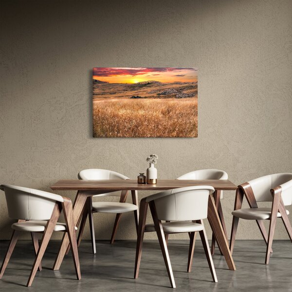Obraz pole (90x60 cm)