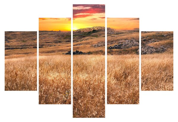 Obraz pole (150x105 cm)