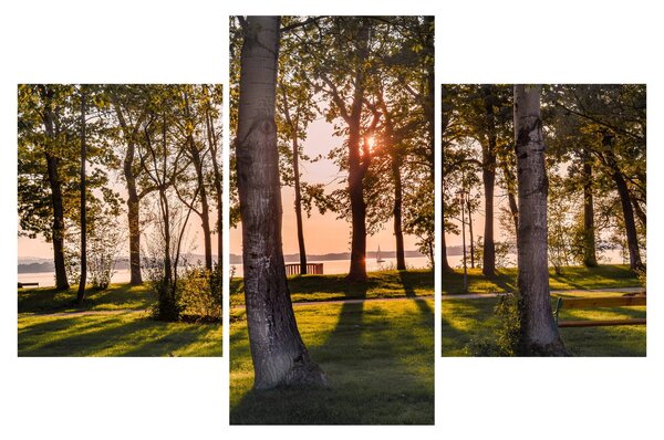 Obraz stromov pri jazere (90x60 cm)