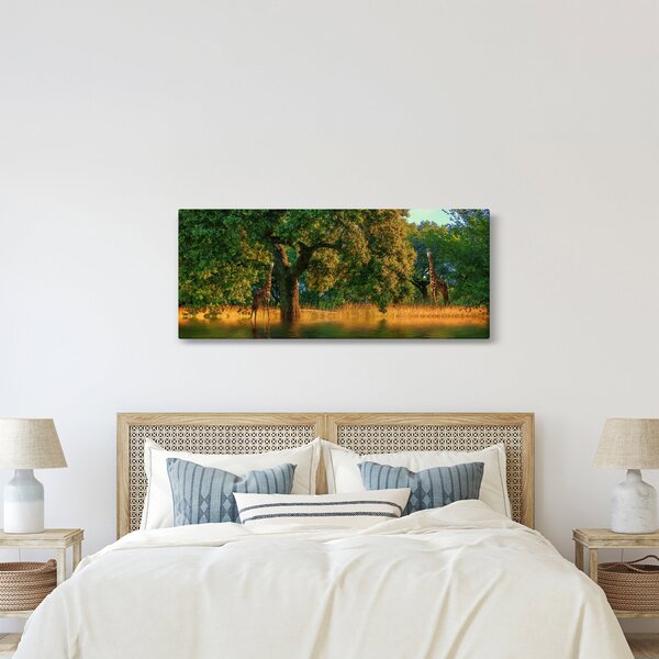 Obraz žirafy v prírode (120x50 cm)