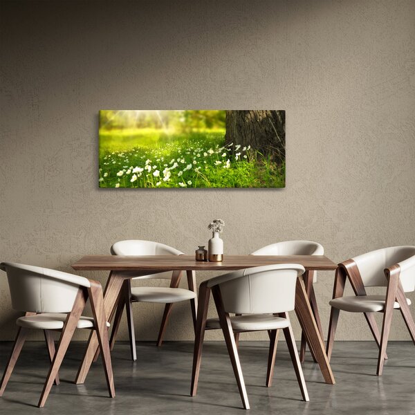 Obraz paseky a kvetín (120x50 cm)