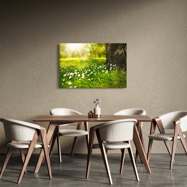 Obraz paseky a kvetín (90x60 cm)