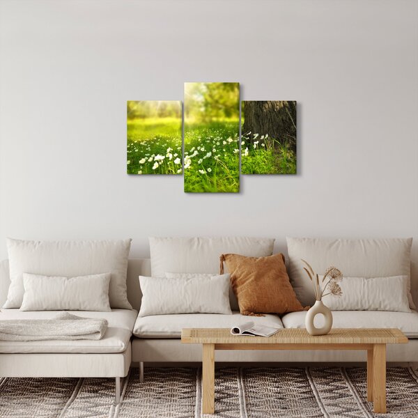 Obraz paseky a kvetín (90x60 cm)