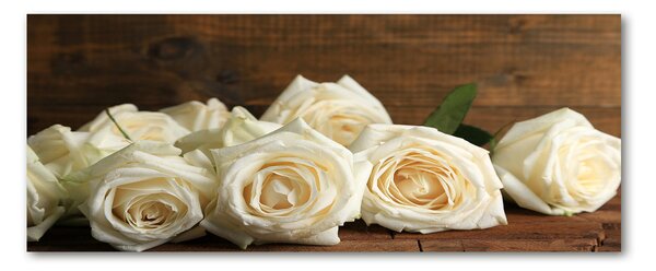 Foto obraz akrylový do obývačky Biele ruže