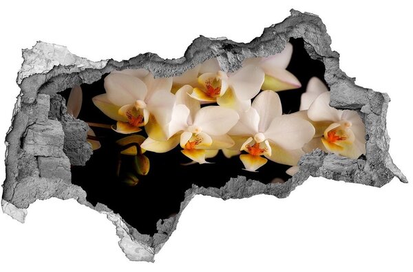 Nálepka fototapeta 3D výhľad Orchidea nd-b-95410450
