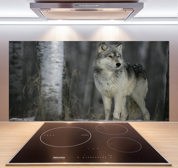 Dekoračný panel sklo Sivý vlk pl-pksh-120x60-f-57875164