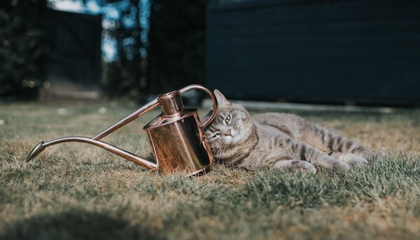 Krhlička s kropítkom Rowley Ripple Copper – 1 l