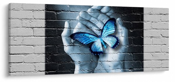 Obraz modrého motýľa na stene (120x50 cm)