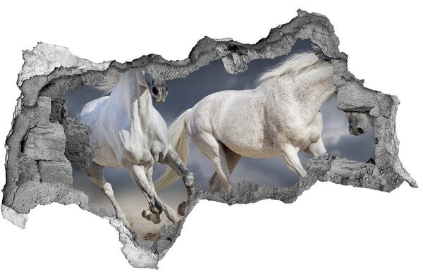 Diera 3D fototapeta na stenu White horse beach