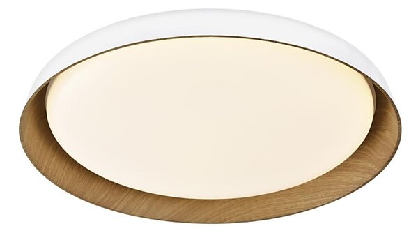 Top Light-LED Stm. stropné svietidlo SATELLITE LED/48W/230V 3000-6500K biela + DO