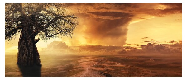 Obraz oranžových mračien (120x50 cm)