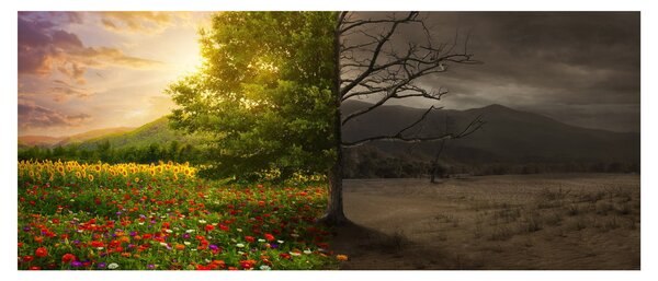 Obraz - Kolobeh života (120x50 cm)