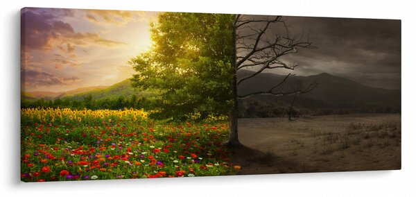 Obraz - Kolobeh života (120x50 cm)