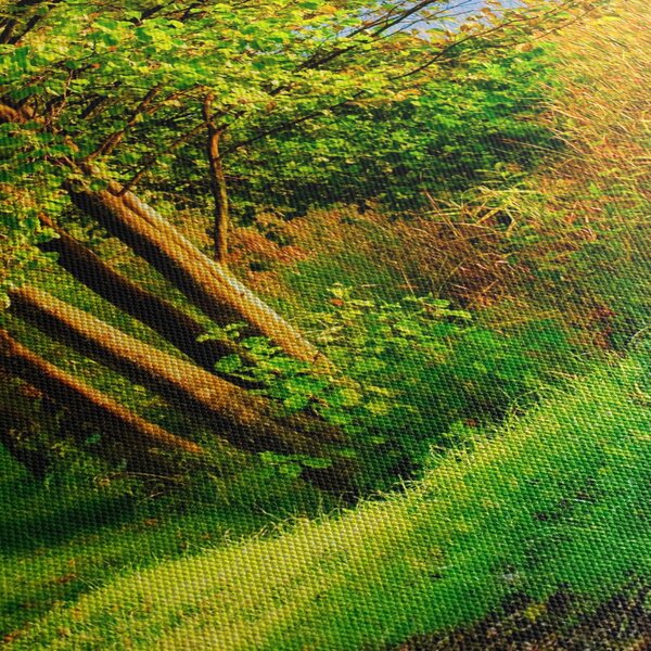 Obraz chodníky pozdĺž vody (70x50 cm)