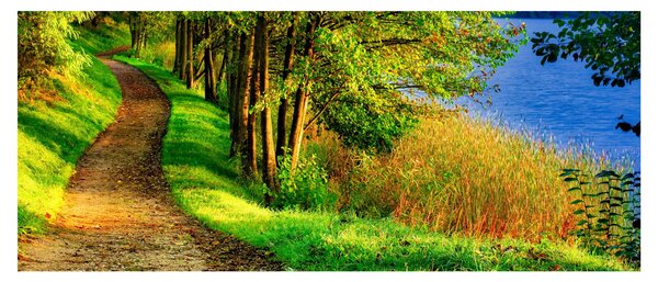 Obraz chodníky pozdĺž vody (120x50 cm)