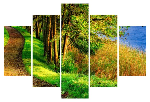 Obraz chodníky pozdĺž vody (150x105 cm)