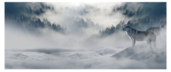 Obraz vlkov (120x50 cm)