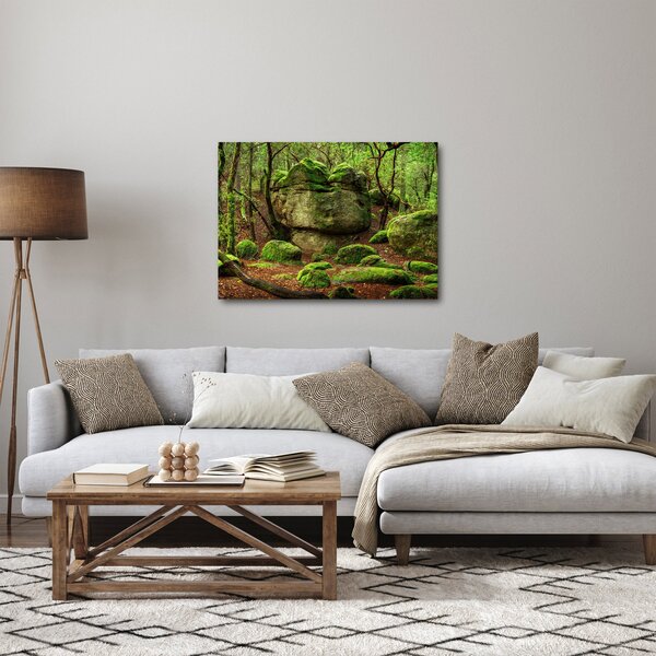 Obraz čarovného lesa (70x50 cm)