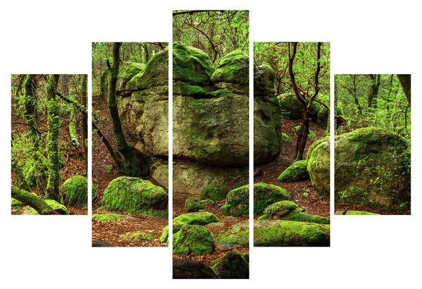 Obraz čarovného lesa (150x105 cm)