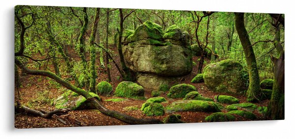 Obraz čarovného lesa (120x50 cm)