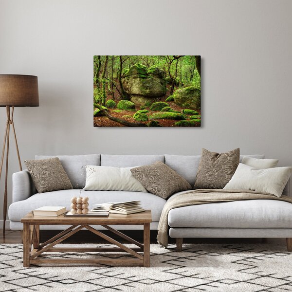Obraz čarovného lesa (90x60 cm)