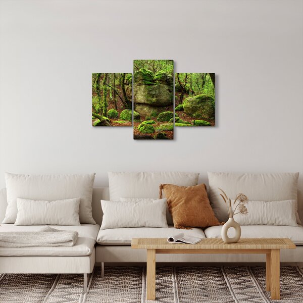 Obraz čarovného lesa (90x60 cm)