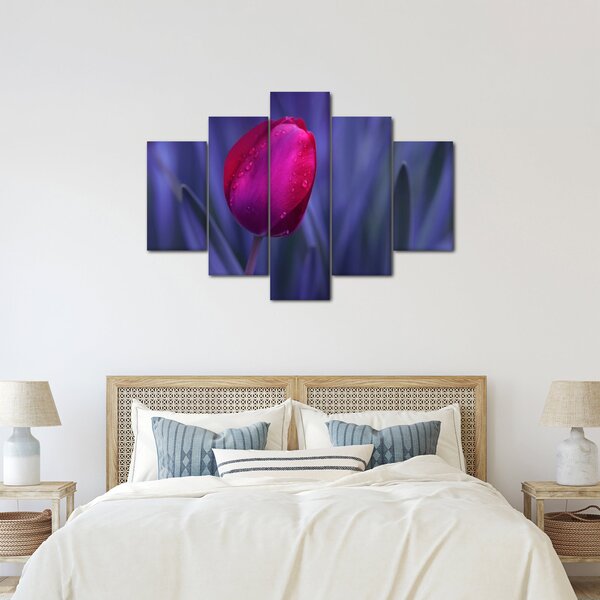 Obraz pupete tulipánu (150x105 cm)