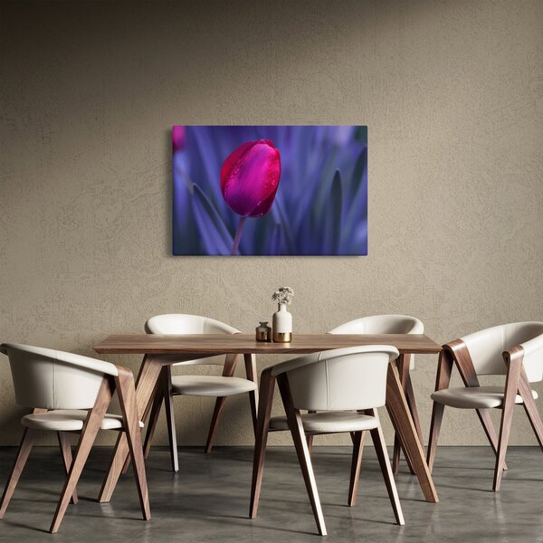 Obraz pupete tulipánu (90x60 cm)