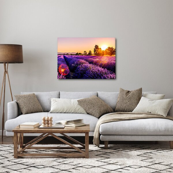 Obraz levanduľového poľa (70x50 cm)