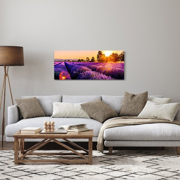 Obraz levanduľového poľa (120x50 cm)
